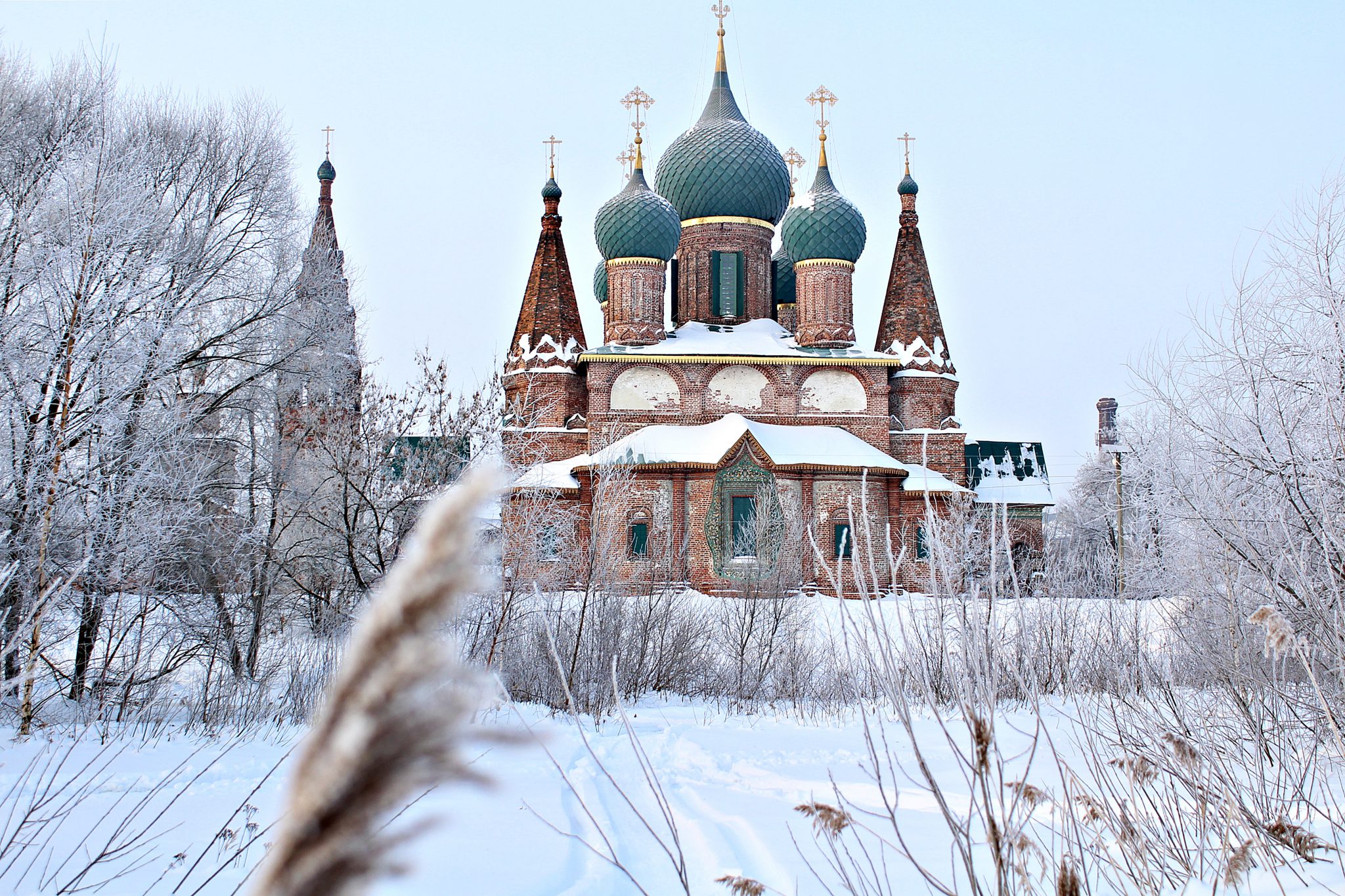 Коровники ярославль фото